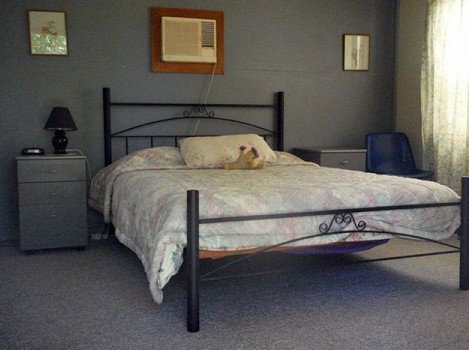 Comeroo Camel Station - Accommodation Ballina 0