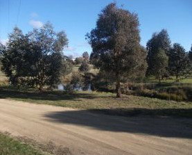 Delegate NSW Accommodation Ballina
