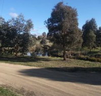 Delegate Caravan Park - Accommodation Ballina