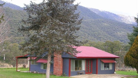 Jagumba - Accommodation Ballina 0