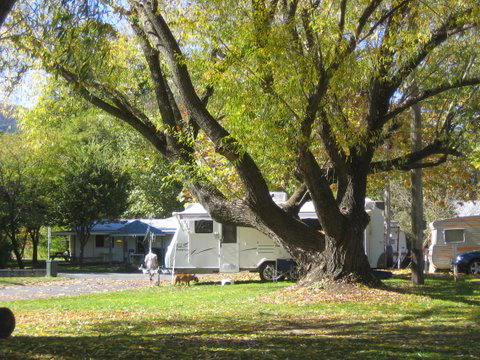 Tumbarumba Creek Caravan Park - Accommodation Ballina 0