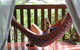 Bellingen YHA - thumb 1