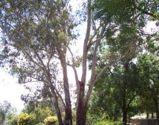 The Church House B And B - Accommodation Ballina 0