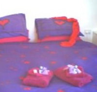 Aloomba Lavender - Accommodation - Accommodation Ballina
