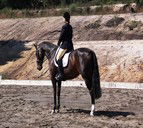 Apptrak Stud - Accommodation Ballina 0