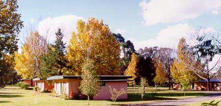 Castlereagh Village Holiday Units - Accommodation Ballina 4