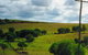 Mango Hill Cottages Bed And Breakfast - thumb 2