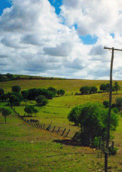 Mango Hill Cottages Bed And Breakfast - Accommodation Ballina 2