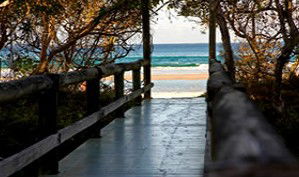 Anchorage Beachfront Island Resort - Accommodation Ballina 4
