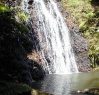 Binna Burra Mountain Lodge - Accommodation Ballina