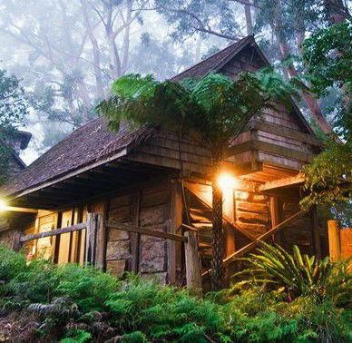 Binna Burra Mountain Lodge - Accommodation Ballina 2