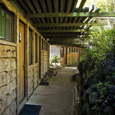 Binna Burra Mountain Lodge - Accommodation Ballina 4
