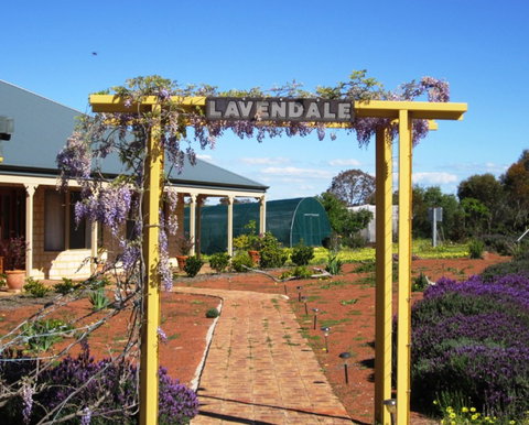 Lavendale Farmstay And Cottages - Accommodation Ballina 0