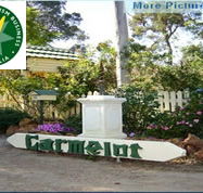 Carmelot Bed  Breakfast - Accommodation Ballina