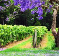 Bago Vineyards - Accommodation Ballina