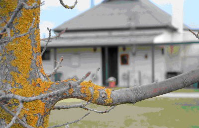 Dunalan Host Farm Cottage - Accommodation Ballina 1