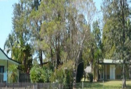 Nimbin NSW Accommodation Ballina