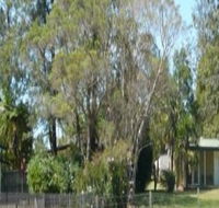 Nimbin Backpackers at Grannys Farm - Accommodation Ballina