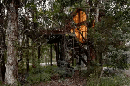 Wanderers Retreat Port Stephens - thumb 0