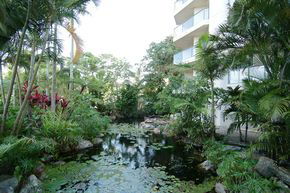 181 The Esplanade - Accommodation Ballina 1