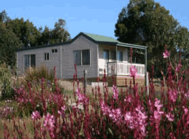 Daysy Hill Country Cottages - Accommodation Ballina 5