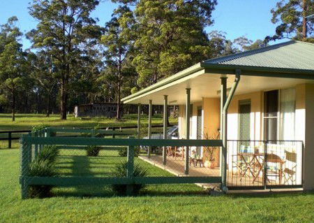 Neds Bed Horse O Tel - Accommodation Ballina 1