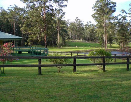 Neds Bed Horse O Tel - Accommodation Ballina 2