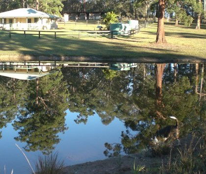 Neds Bed Horse O Tel - Accommodation Ballina 4