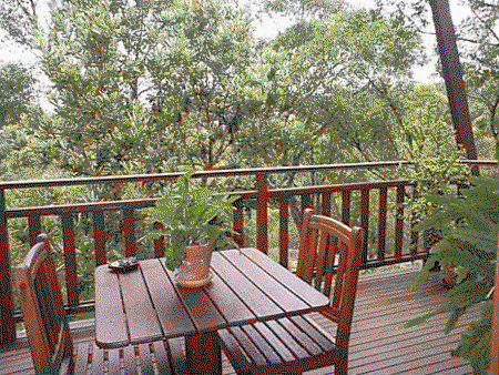 Studio Cottages Romantic Hideaway - Accommodation Ballina 4
