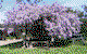 Studio Cottages Romantic Hideaway - thumb 5