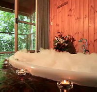 Tree Houses Of Montville - Accommodation Ballina