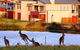 Grand Mercure The Vintage Hunter Valley - thumb 0