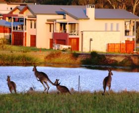 Grand Mercure The Vintage Hunter Valley - Accommodation Ballina 0