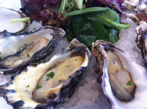 Duke Of Wellington Hotel - Accommodation Ballina 0