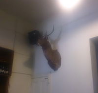 Union Hotel - Accommodation Ballina