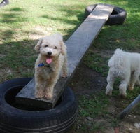 Beenleigh Pet Motel - Accommodation Ballina