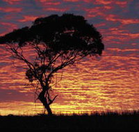 Kimba Caravan Park amp Motel - Accommodation Ballina