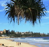 Mariners Caloundra - Accommodation Ballina