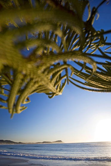 Terrigal Sails Serviced Apartments - Accommodation Ballina 5