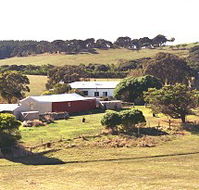 Sun Valley Eco Farm - Accommodation Ballina