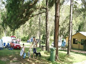 Glasshouse Mountains Holiday Village - Accommodation Ballina 0