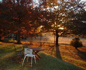 Dairy Park Farm Stay Bed And Breakfast - Accommodation Ballina 0