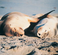 Barbaree Cottage - Accommodation Ballina