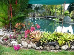 Daintree Wild Bed And Breakfast - Accommodation Ballina 0