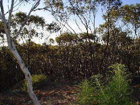 Cuballing ACT Accommodation Ballina