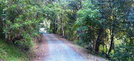 Natural Bridge QLD Accommodation Ballina