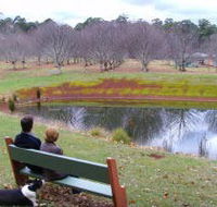 Chestnut Glade - Accommodation Ballina