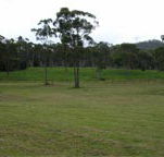 Mt White Lodge - Accommodation Ballina