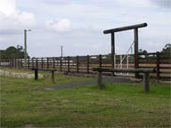 Mt White Lodge - Accommodation Ballina 2