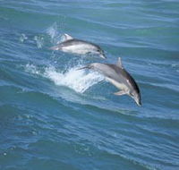 Seachange - Accommodation Ballina